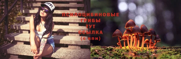 мескалин Гусиноозёрск