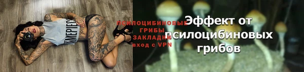 прущая мука Гусь-Хрустальный