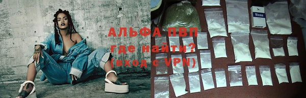 стаф Дмитриев