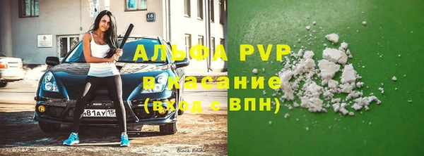 спайс Гусев