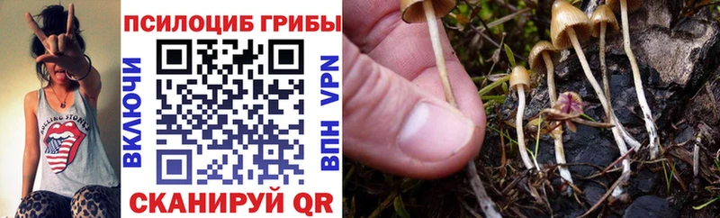 Купить закладки  Фатеж  Галлюциногенные грибы мицелий 